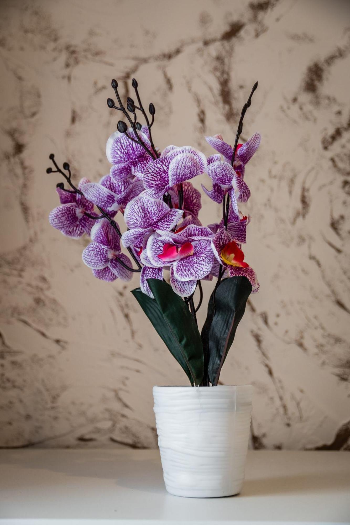 Jm Rooms Lubicz II Krakow Ngoại thất bức ảnh